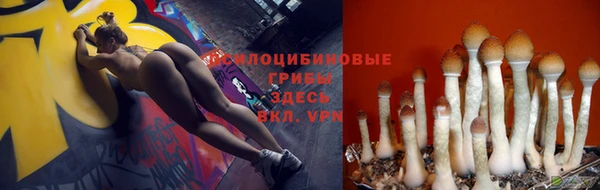 соль ск Абаза