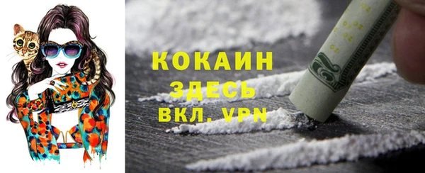 соль ск Абаза