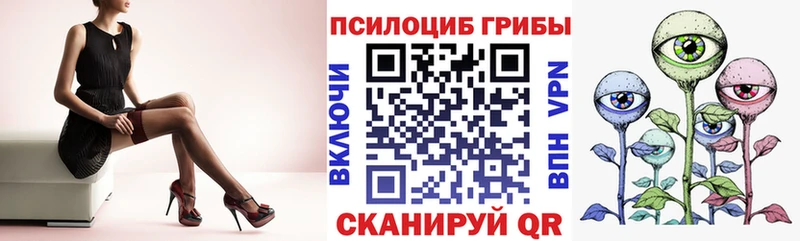 где продают   Лысково  OMG маркетплейс  Псилоцибиновые грибы Psilocybine cubensis 